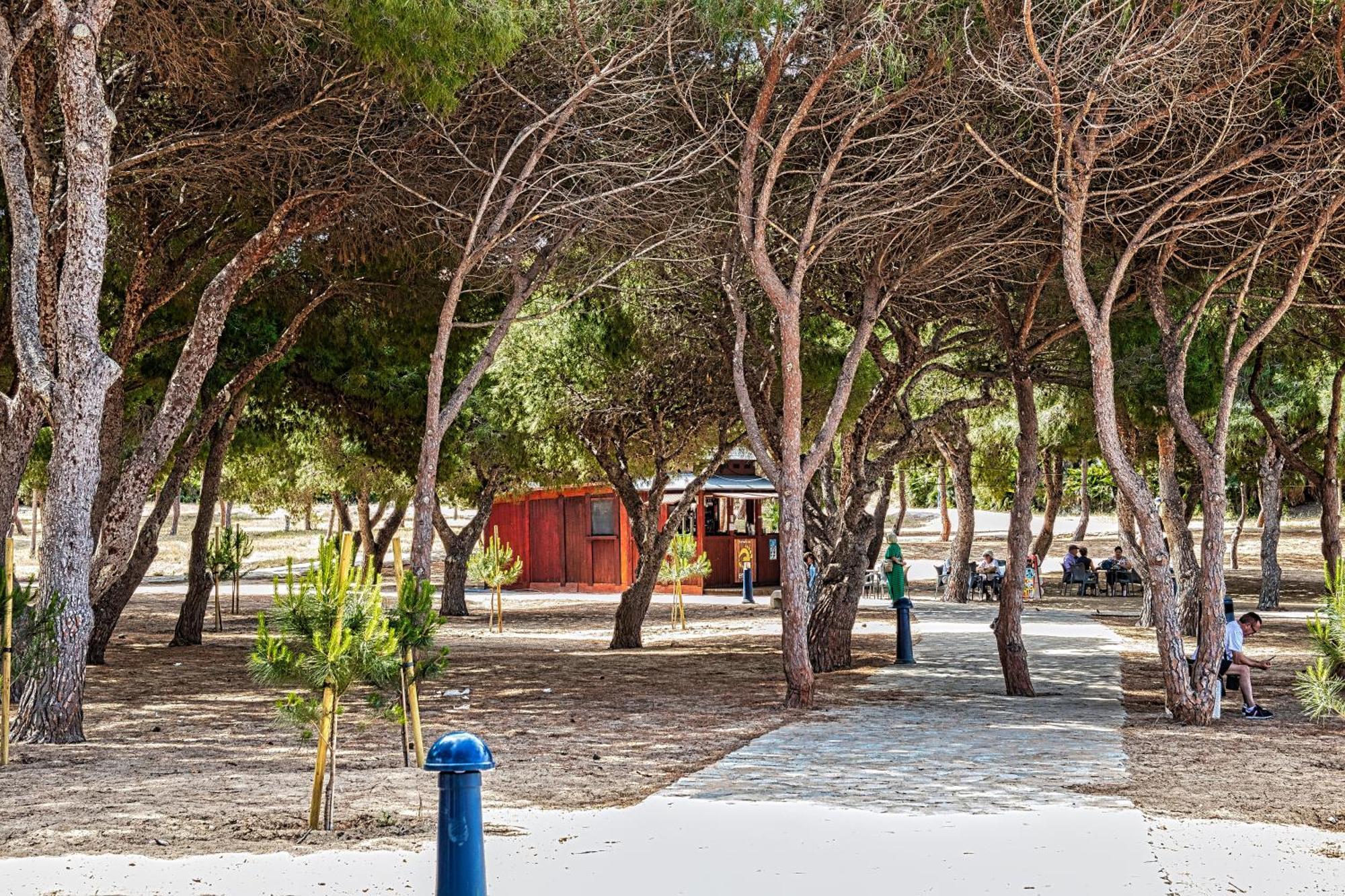 Apartamento Estudio Arpón Cala Del Pino *